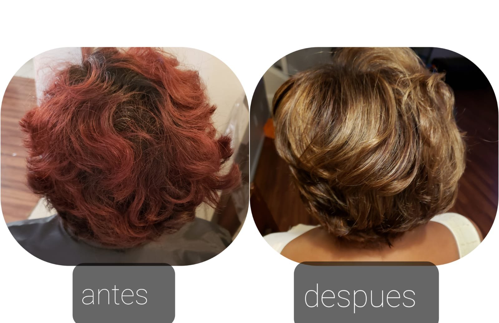 c0049dd8-b624-4caf-9bb7-4497125d989b